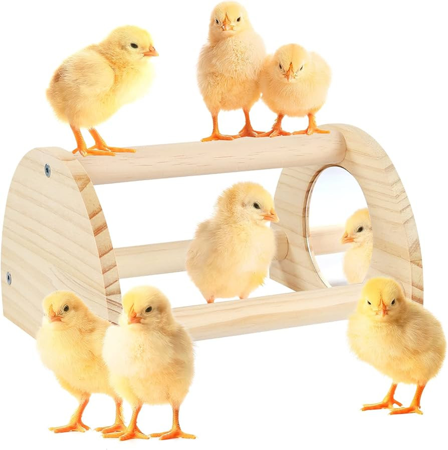 Pine Chicken Perch with Mirror, Strong Chick Jungle Gym Roosting Bar, Chicken Toys for Coop and B... | Amazon (US)