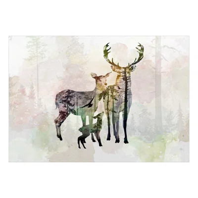 Alanya Peel & Stick Wallpaper | Wayfair North America