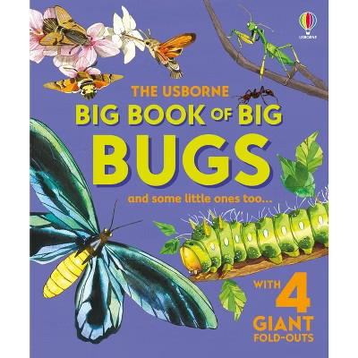 Big Book of Big Bugs - (Big Books) by  Emily Bone (Hardcover) | Target