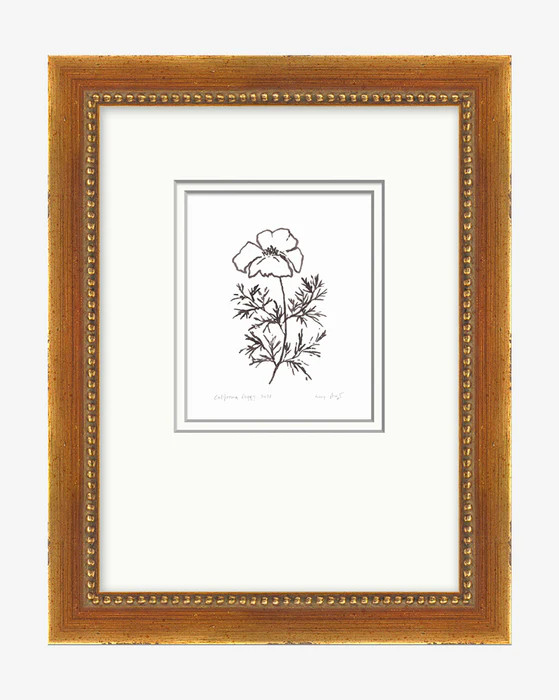 Californian Poppy | McGee & Co.