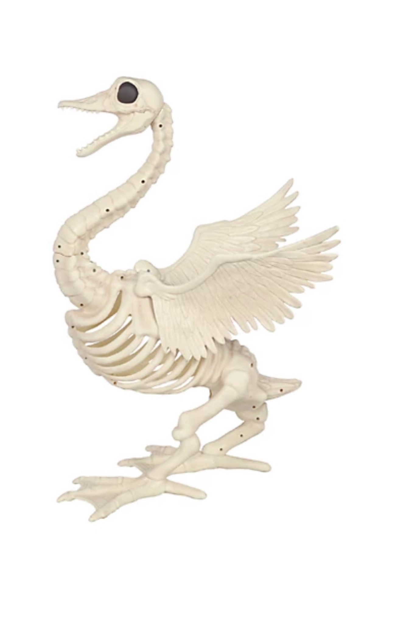 Skeleton Porch Goose

#LTKHome
