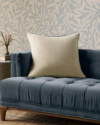 Loloi Chris Loves Julia Liza Collection PCJ0020 Ivory 22'' x 22'' Cover w/Poly Pillow | Amazon (US)