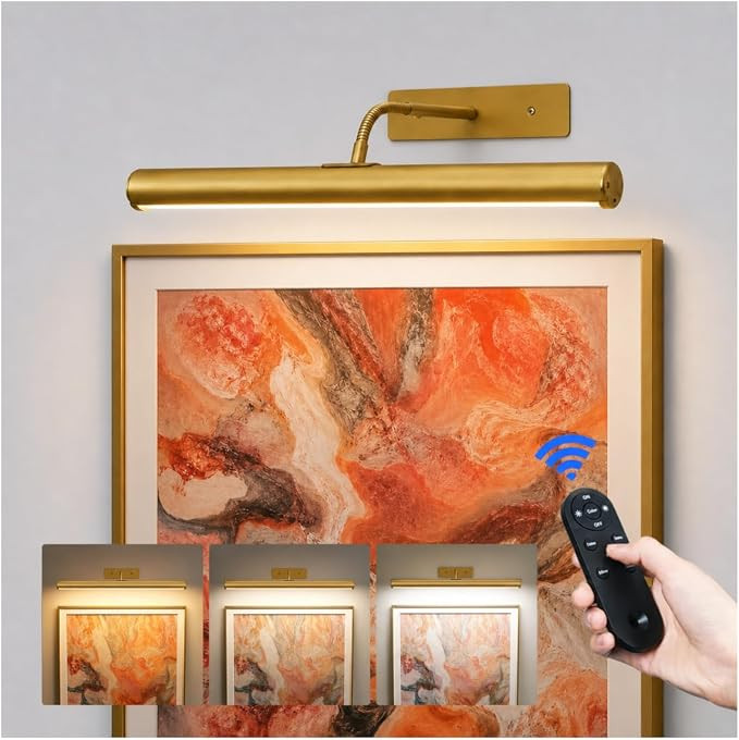 EZVALO 16" Picture Lights for Wall, 6000mAh Rechargeable Art Light with Remote, 3 CCT & Dimmable,... | Amazon (CA)