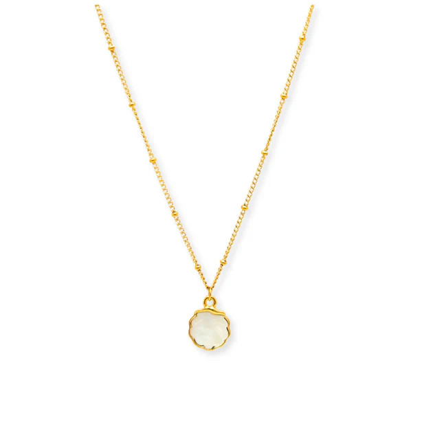 Cockle Mother Pearl | Salty Cali