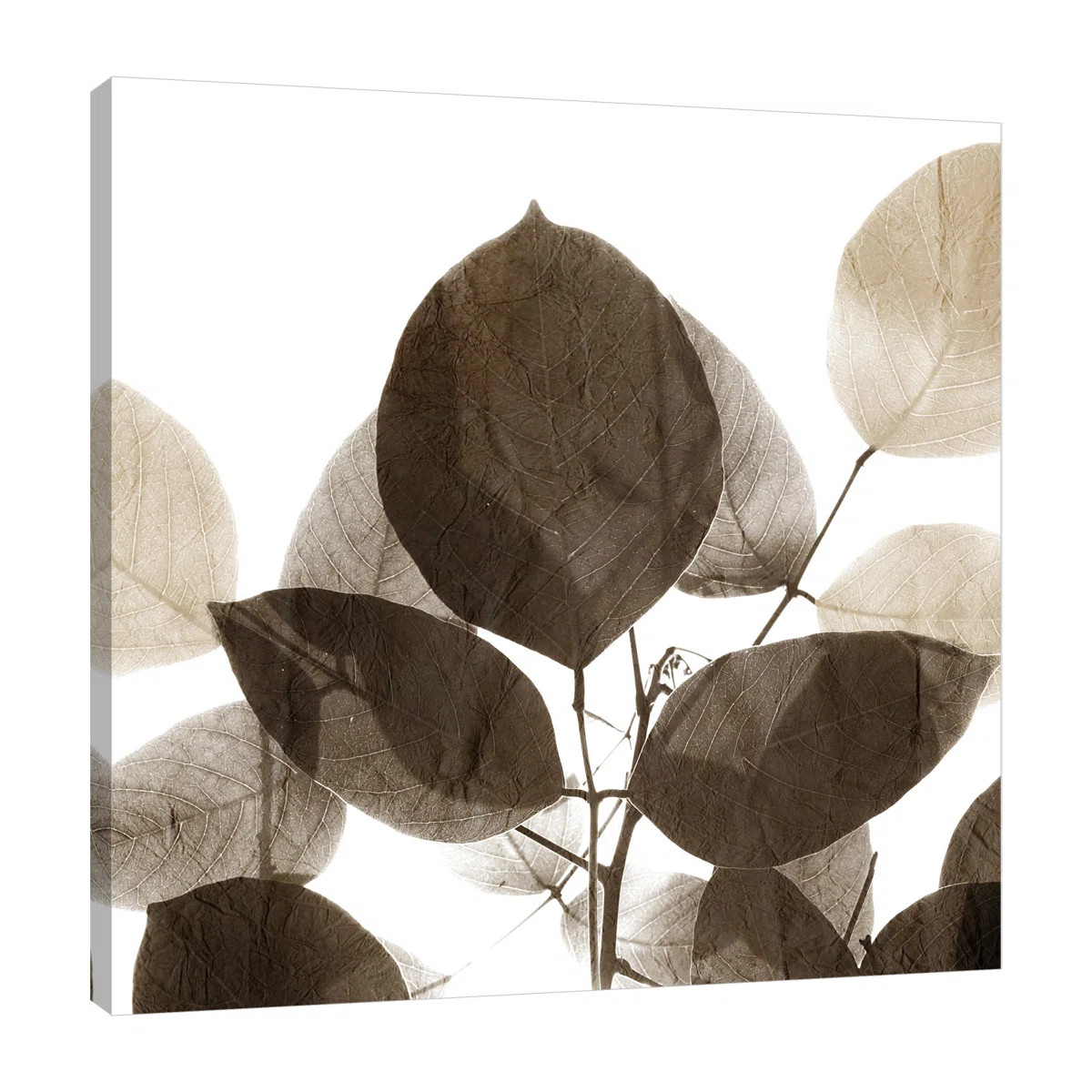 " Chocolate Leaves 1 " by Kimberly Allen | Wayfair North America