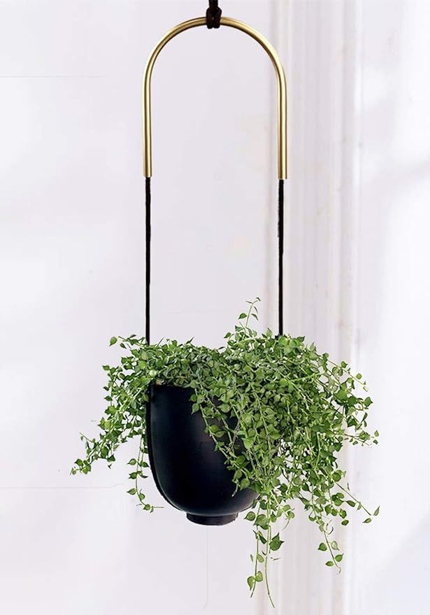 Abetree Metal Hanging Planter for Indoor Outdoor Plants Adjustable Modern Minimalist Wall and Cel... | Amazon (US)