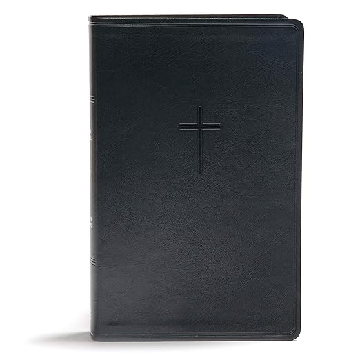 CSB Everyday Study Bible, Black LeatherTouch, Black Letter, Study Notes, Illustrations, Aricles, ... | Amazon (US)