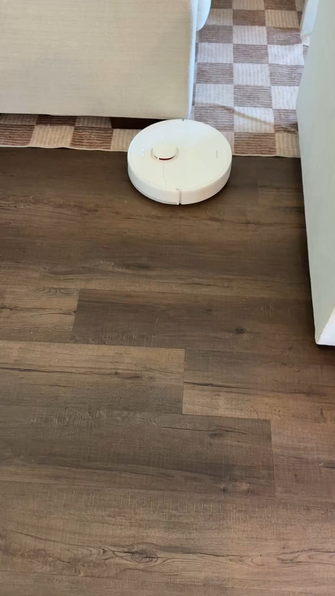 Carpet rake for long hair & pet hair will be your new best friend. 

Get out all the hair trapped inside your rugs or carpets that your vacuum can miss.

LTK cleaning, cleantok, house chores

#LTKHome #LTKmomlife