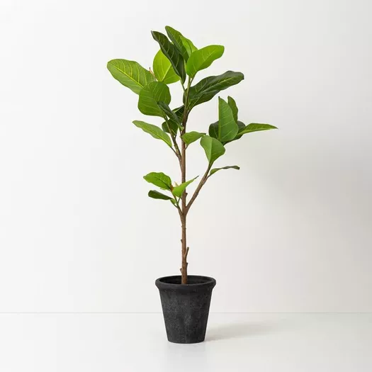 15 x 10 Artificial Fiddle Leaf Plant in Pot - Threshold