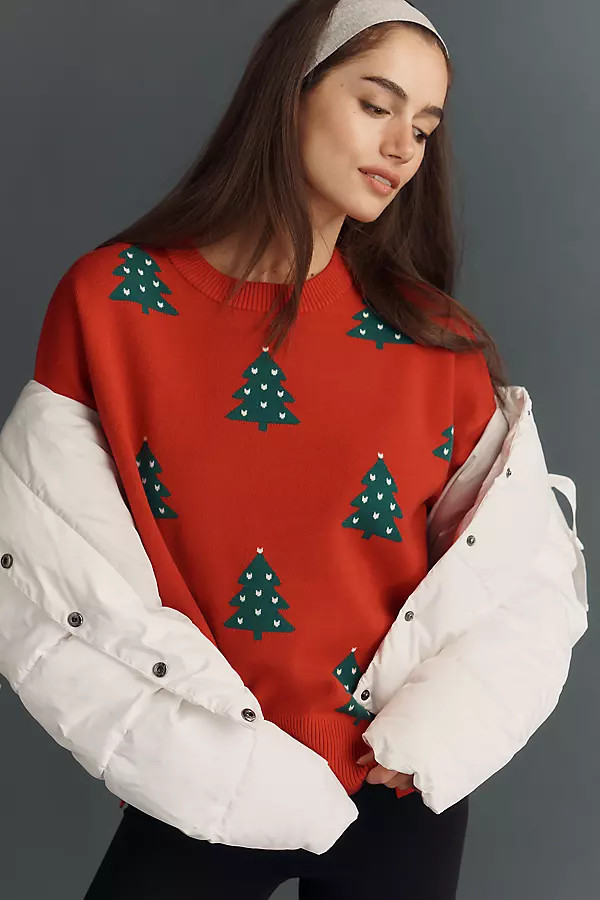Callie Festive Crew-Neck Sweater | Anthropologie (US)