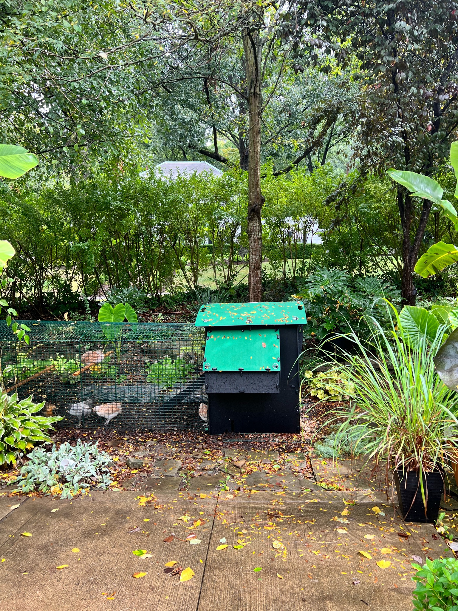 Sustainable Backyard Chicken Keeping! This coop is made from 100% recycled plastic. It fits 8-10 chickens! 

#LTKFamily #LTKHome #LTKSeasonal