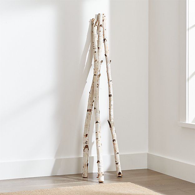 Set of 3 Tall Birch Branches | Crate & Barrel