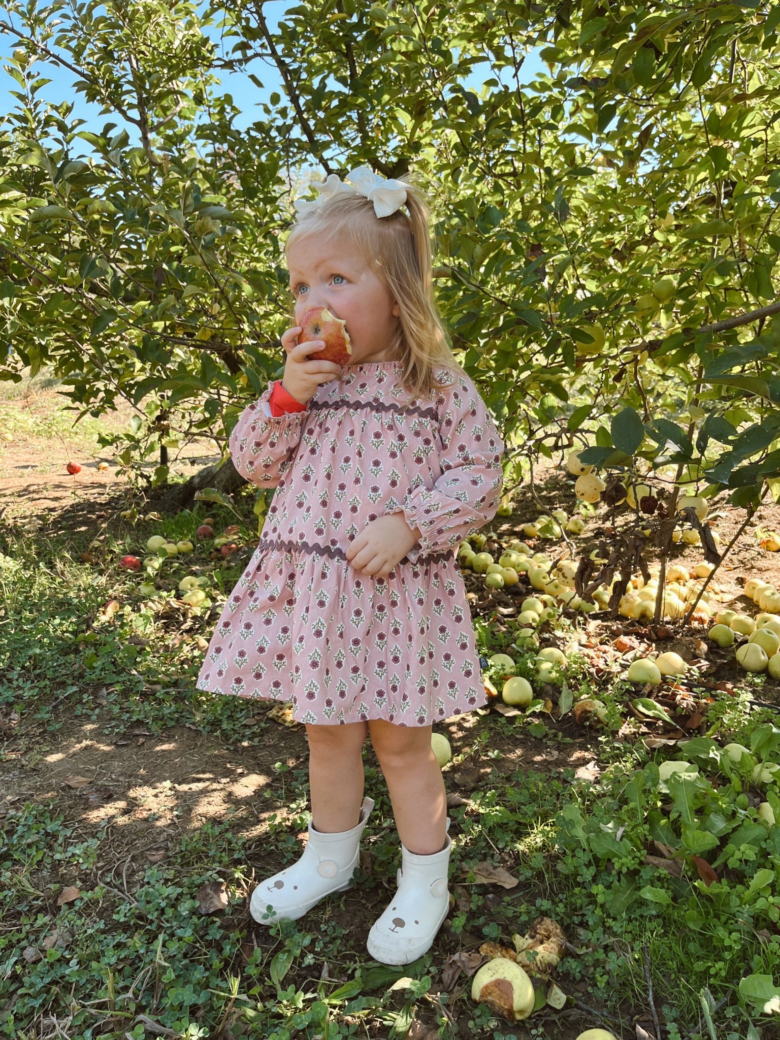 Cutest little toddler girl dress for fall and winter. So affordable and true to size! 

#LTKBaby #LTKFamily #LTKKids