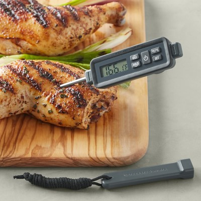 Williams Sonoma Waterproof Pen Thermometer | Williams-Sonoma