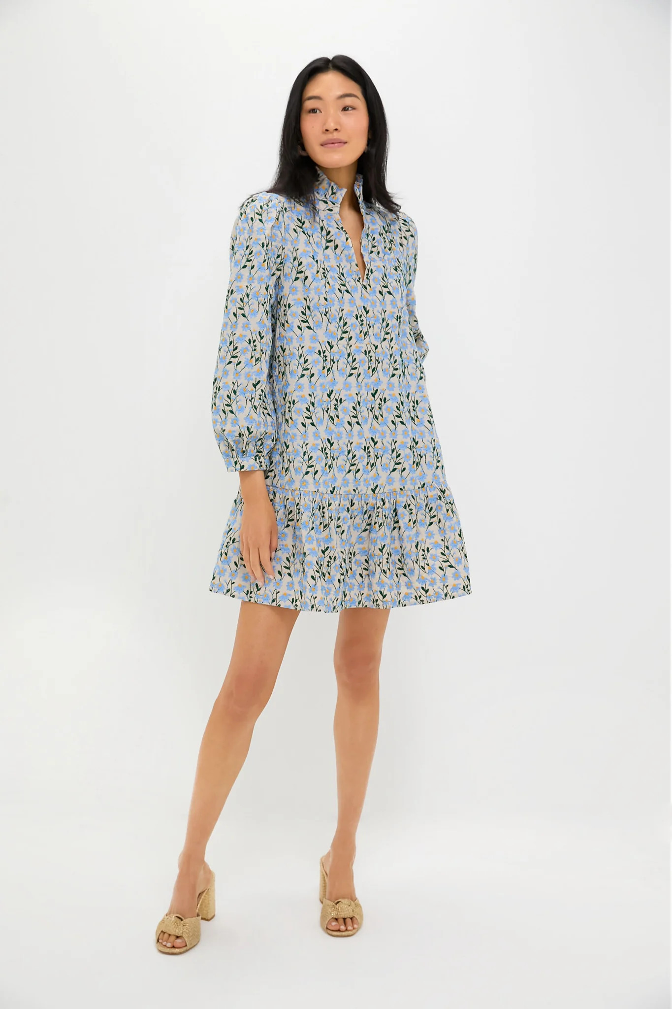Blue Daisy Embroidered Palmerston Dress | Tuckernuck (US)