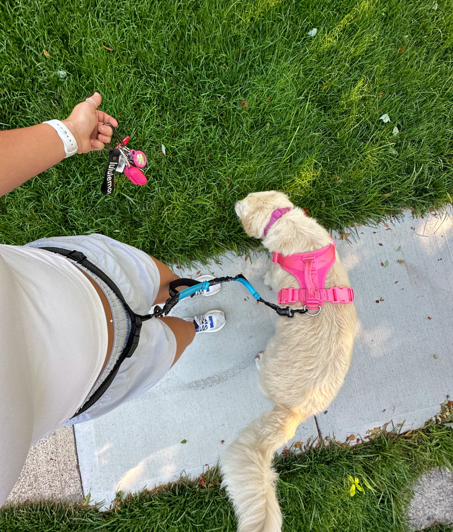 My favorite leash for pullers 

#LTKFitness #LTKxNSale #LTKFind