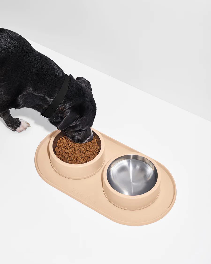 Stainless Steel Dog Bowl & Silicone Mat Set | Wild One | Wild One
