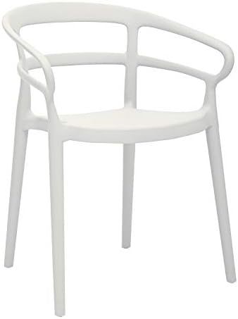 Amazon Basics White, Curved Back Dining Chair-Set of 2, Premium Plastic | Amazon (US)