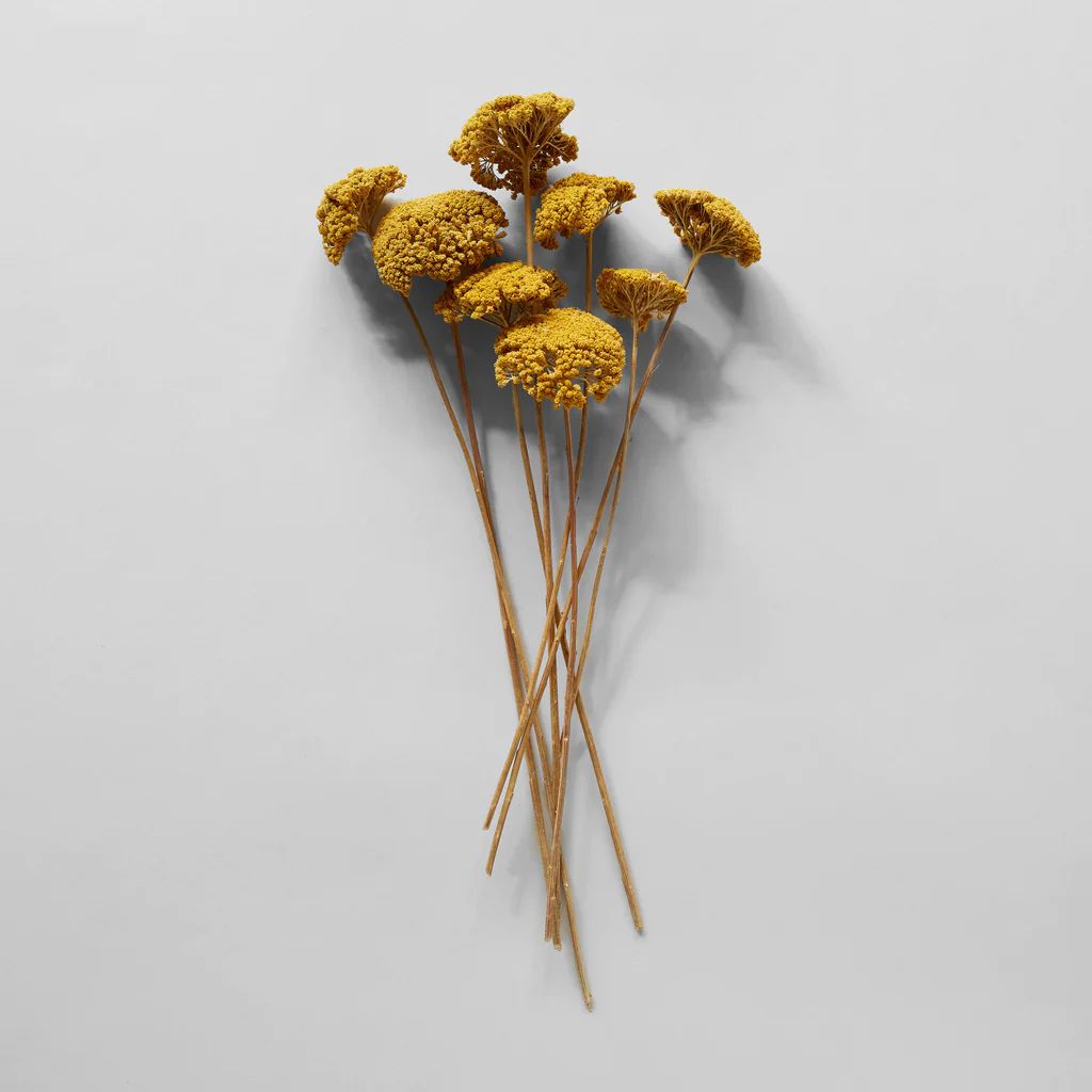 Dried Natural Yarrow | Bloomist