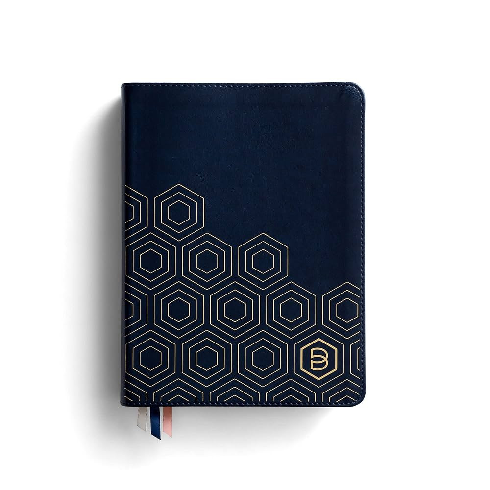One Step Closer Bible NLT - Navy | Amazon (US)