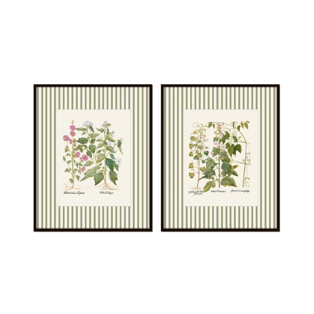 Antique Botanical Prints With Green Striped Border, Botanical Prints, Vintage Botanical Art, Flor... | Etsy (US)