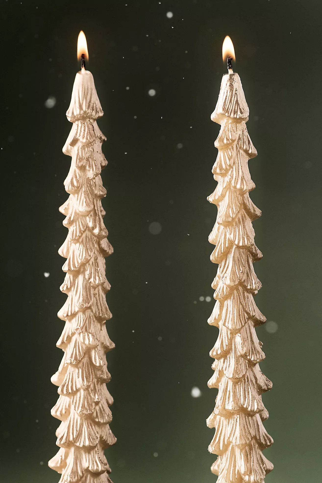 Golden Tree Tapers, Set of 2 | Anthropologie (US)
