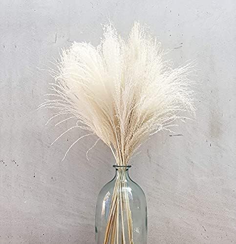Tall Natural Dried Pampas Grass Horsetail Whisk 25-30 Stems 32” Pampas Grass Branches Wedding A... | Amazon (US)