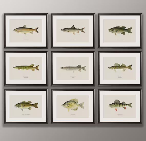 Freshwater Fish Wall Art Collection Vintage Finish Trout Pike - Etsy | Etsy (US)