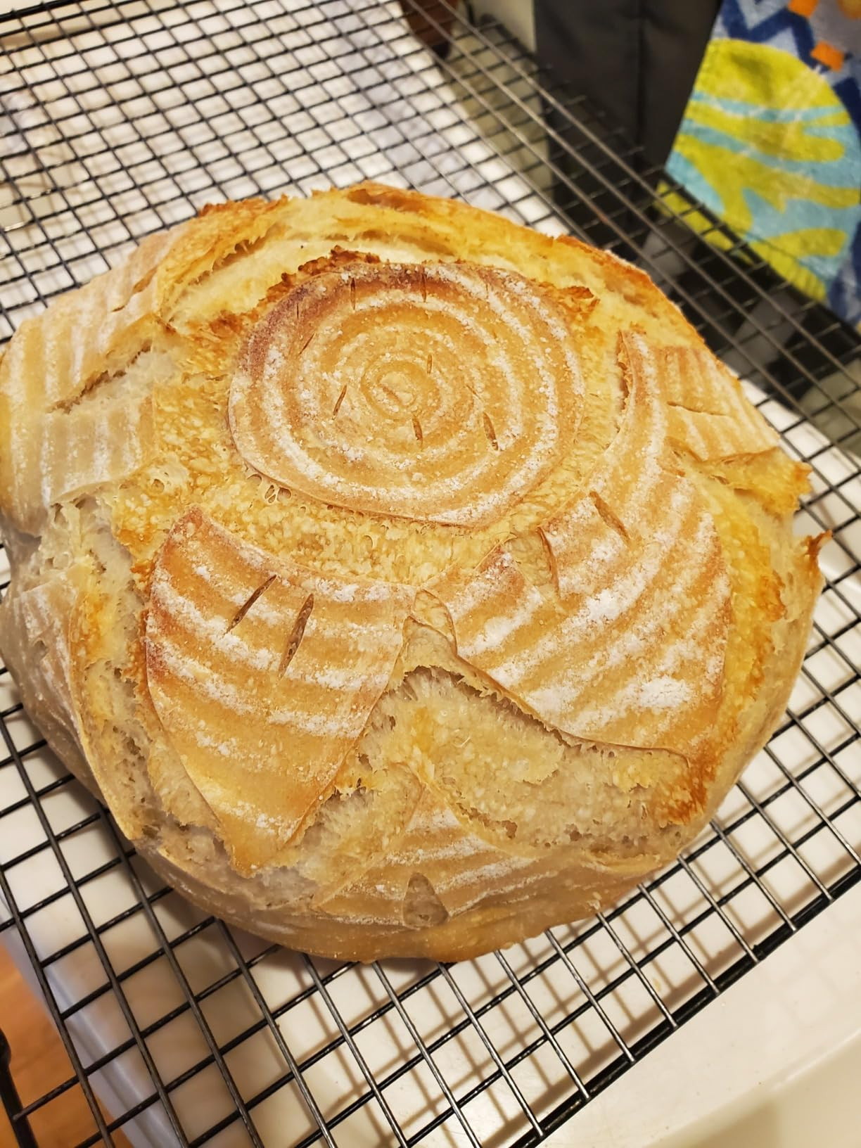 SAINT GERMAIN Premium Hand Crafted Bread Lame for Dough Scoring Knife, Tool Sourdough Slashing wi... | Amazon (US)