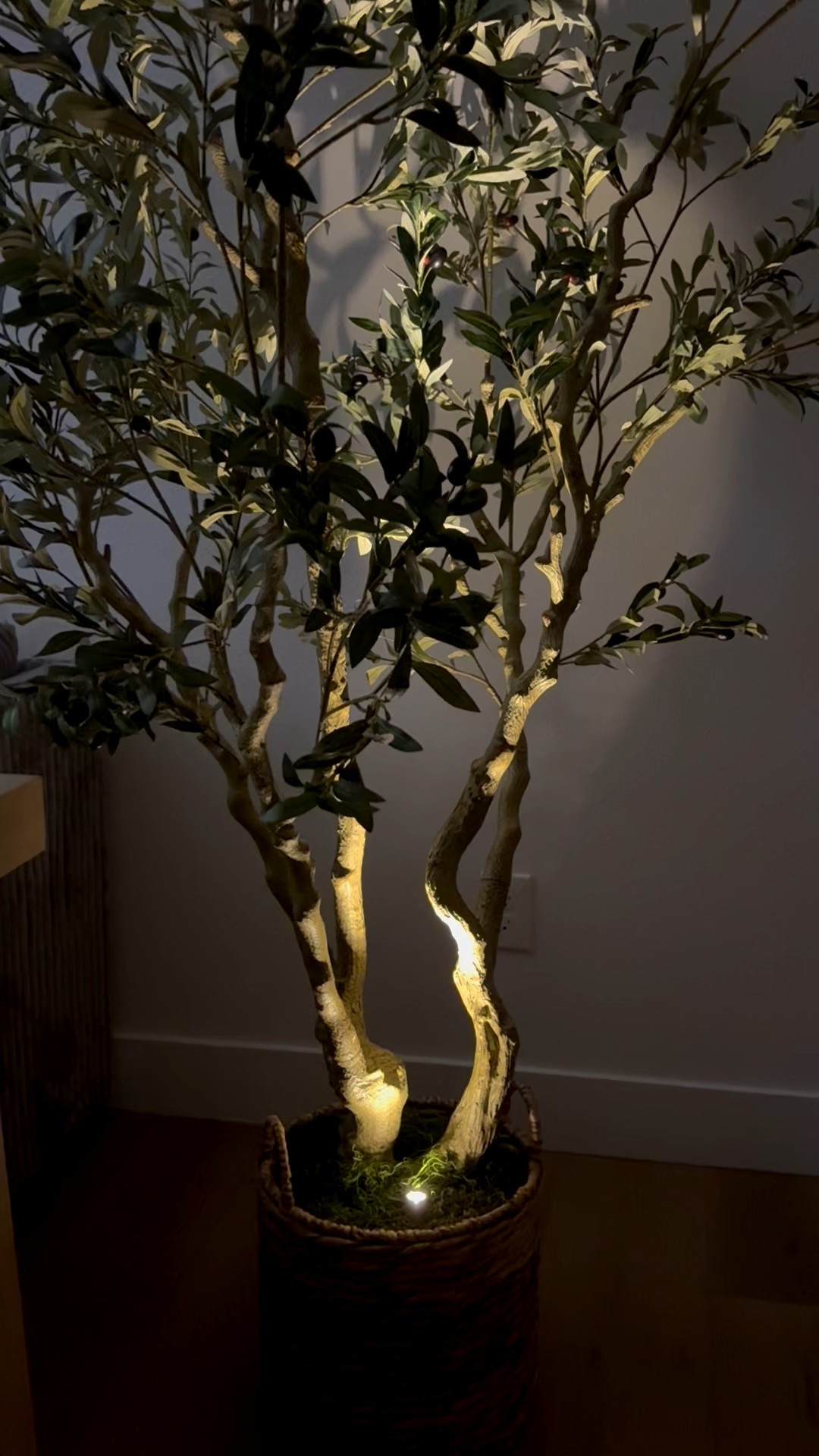Gorgeous 8ft olive tree!!! Super heavy and sturdy! 

Amazon


#LTKHome #LTKSeasonal #LTKOver40