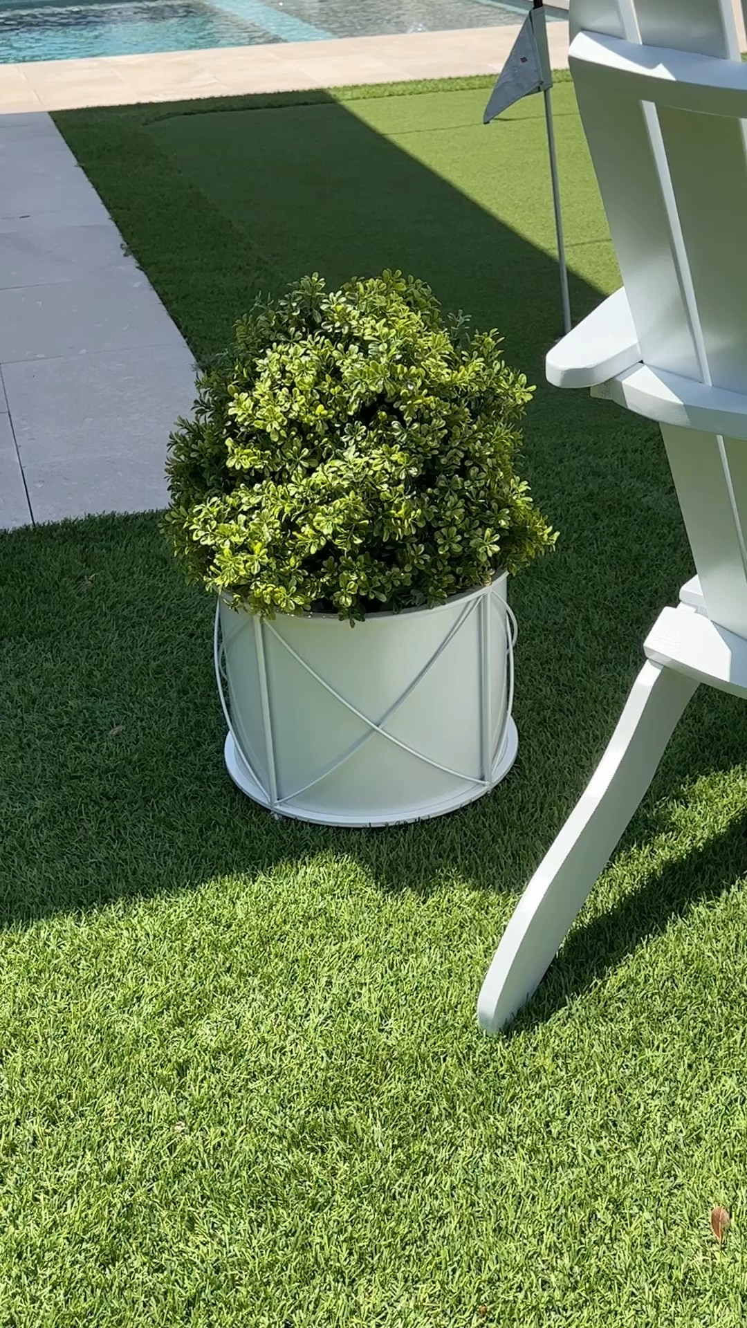 Faux boxwoods on sale! 