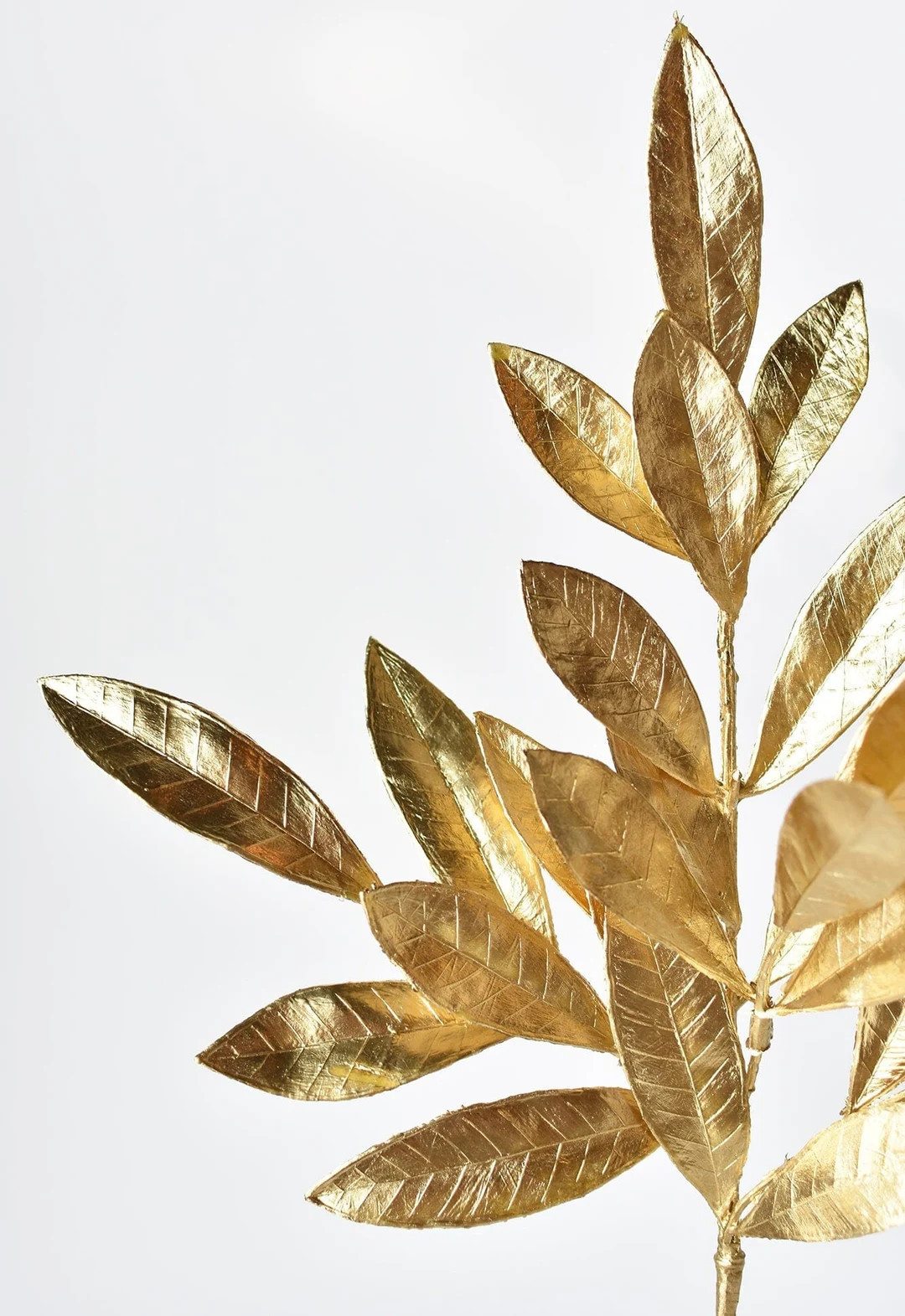 19" Gold Bay Leaf Stem - Etsy | Etsy (US)