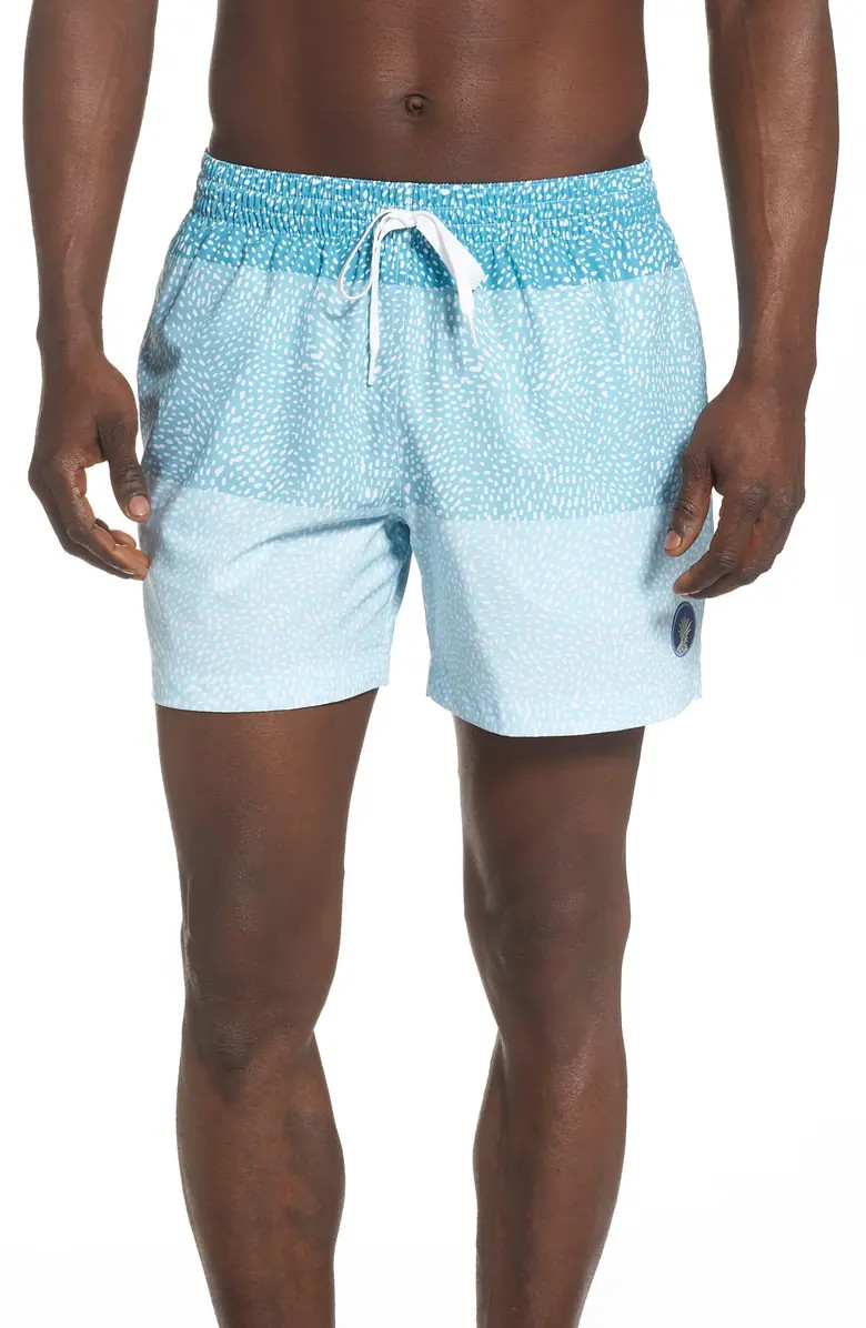 The Whale Sharks 5.5-Inch Swim Trunks | Nordstrom