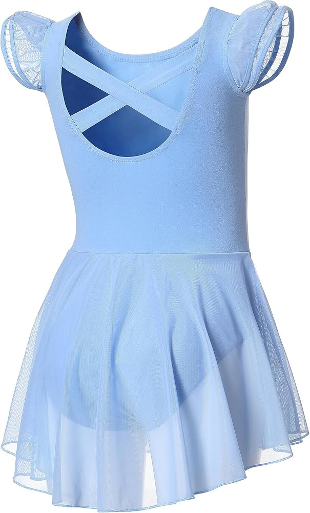 DIPUG Ballet Leotards for Girls Ballet Leotard with Skirt Toddler Dance Leotards Flutter Sleeve a... | Amazon (US)