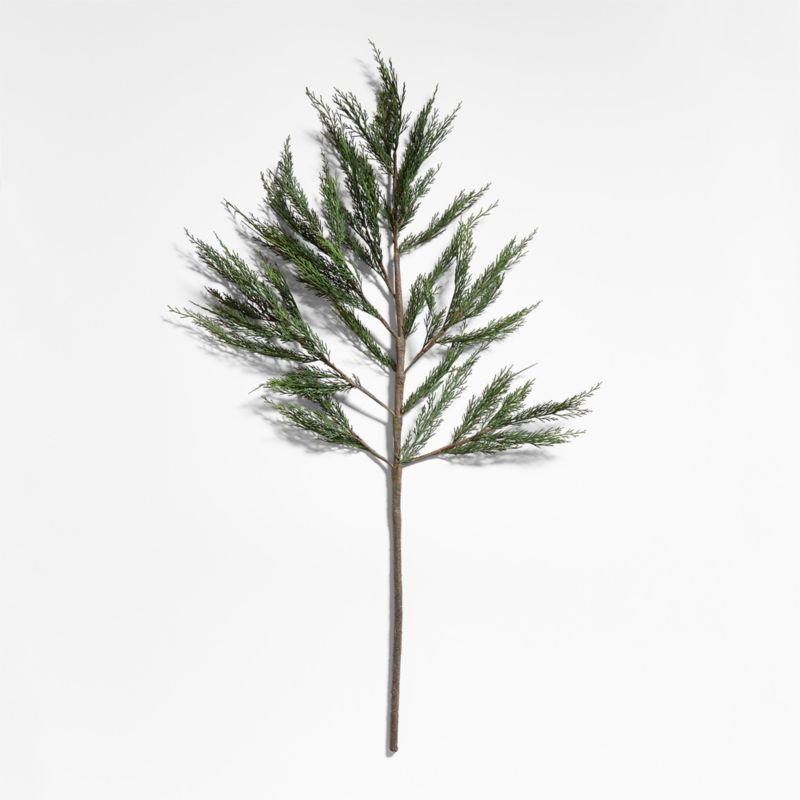Extra-Large Faux Cypress Tree Stem | Crate & Barrel | Crate & Barrel