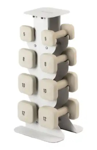 WeGym SafeGrip Dumbbells Middle Set with Dark Rack - 5, 8, 10, 12 lbs | Nordstrom | Nordstrom