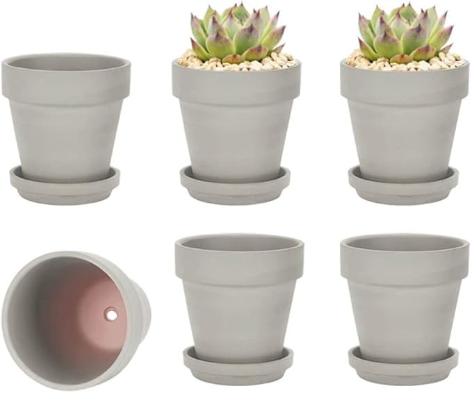 4 Inch Gray Clay Pot for Plant with Saucer - 6 Pack Small Terra Cotta Plant Pot with Drainage Hol... | Amazon (US)