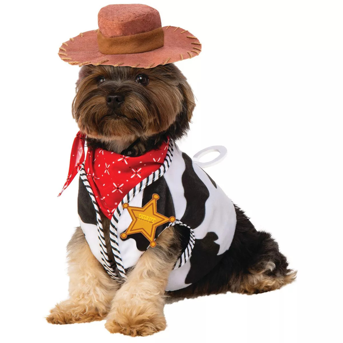 Halloween Disney Woody Accessory Dog Costume - S/M | Target