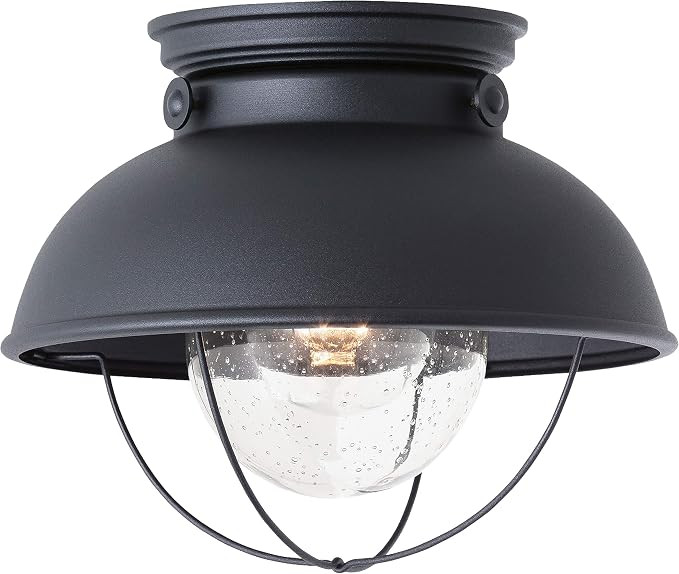 Generation Lighting 8869-12 Sebring Transitional One - Light Outdoor Ceiling Flush Mount Outside ... | Amazon (US)