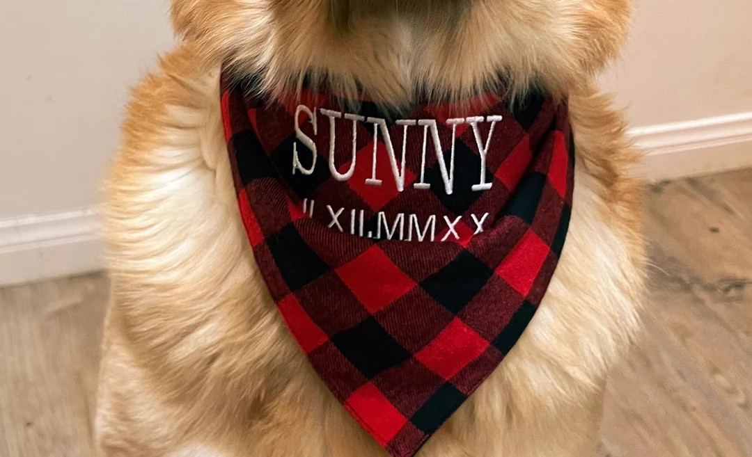 Dog Bandana Embroidered, Dog Bandana Personalized, Custom Bandana Collar, Custom Dog Bandana, Got... | Etsy (US)