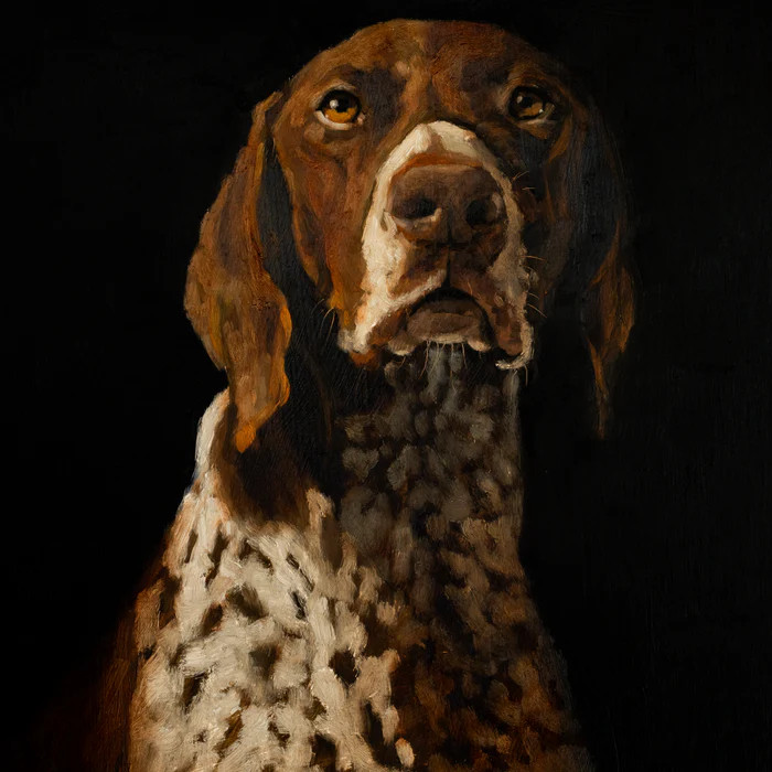 German Shorthaired Pointer Portrait | Society6