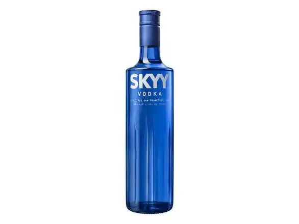 SKYY Vodka | Drizly