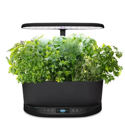 AeroGarden Bounty Black | Wayfair North America