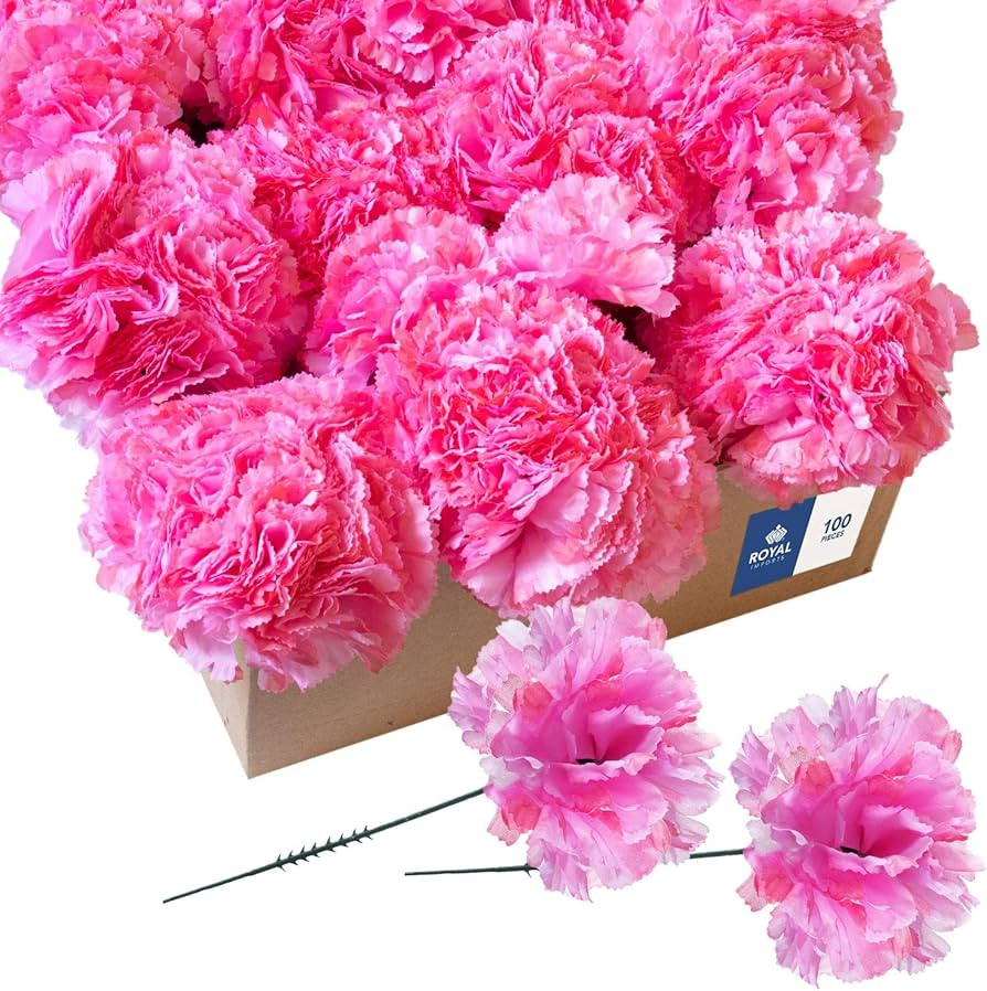 Royal Imports 100 Hot Pink Silk Carnations, Artificial Fake Flower Bouquets, Weddings, Cemetery, ... | Amazon (CA)
