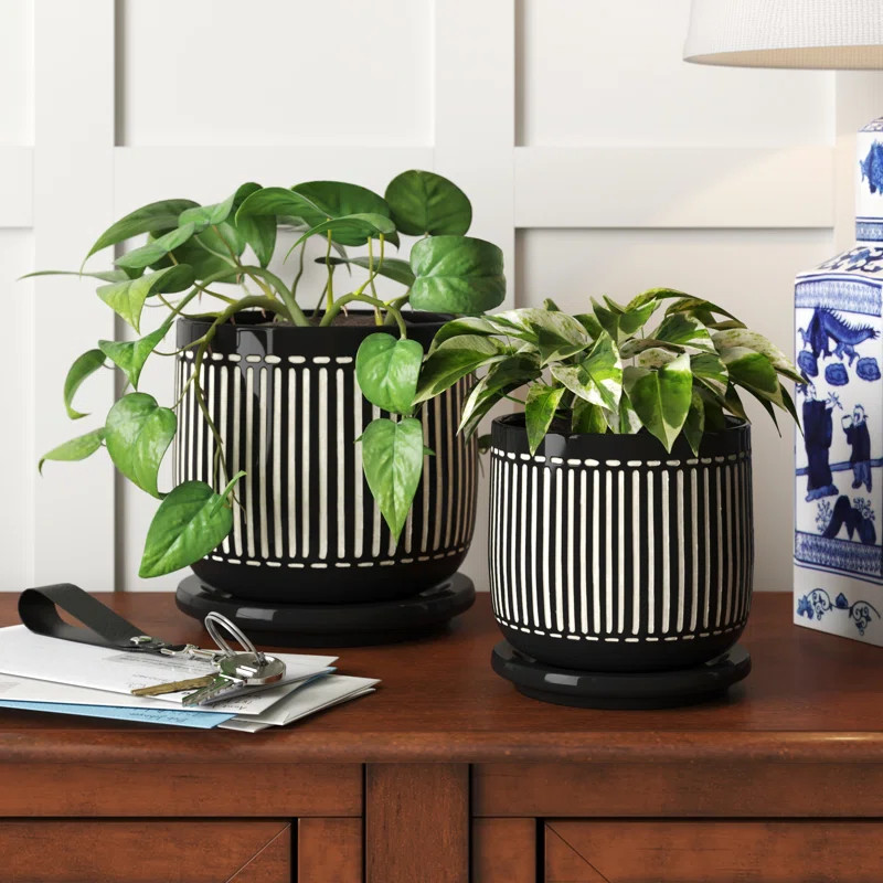 Ameyalli Ceramic 2 Piece - Vertical Line Design For Indoor and Outdoor Plants,Succulent Planter S... | Wayfair North America