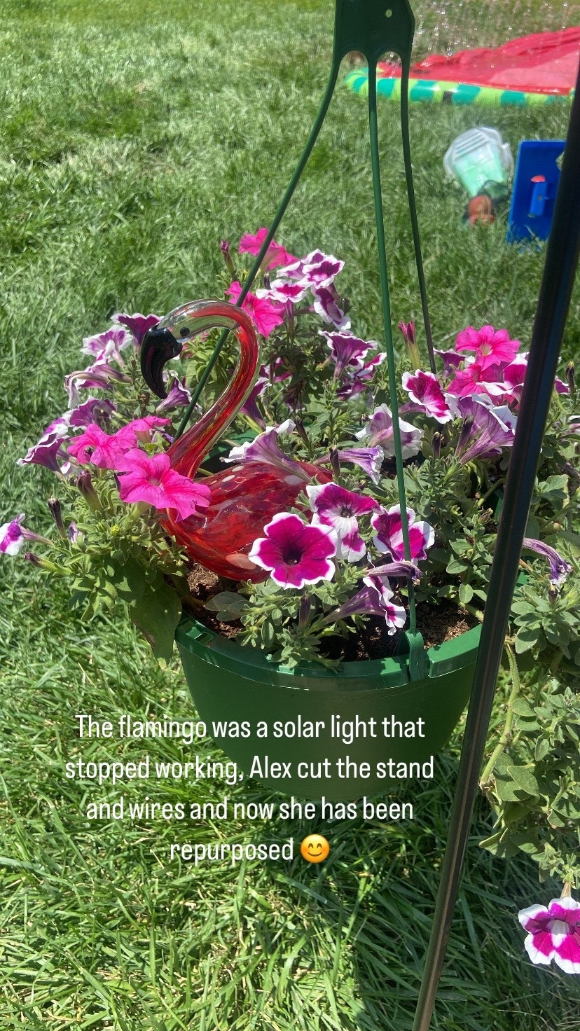 Garden 

#homeandgarden 

#LTKHome