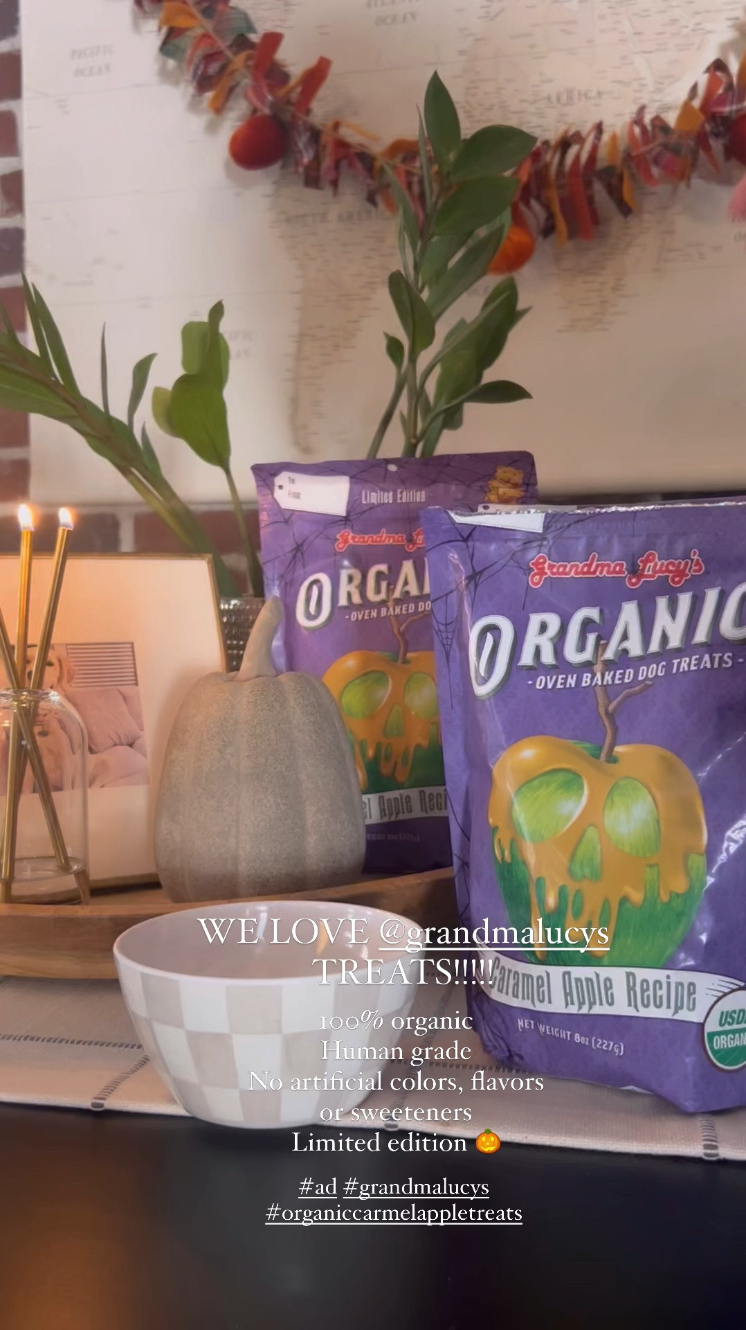 Grandma Lucy’s limited edition treat flavor!! Hogie is obsessed!! 

#LTKParties #LTKSeasonal #LTKHalloween