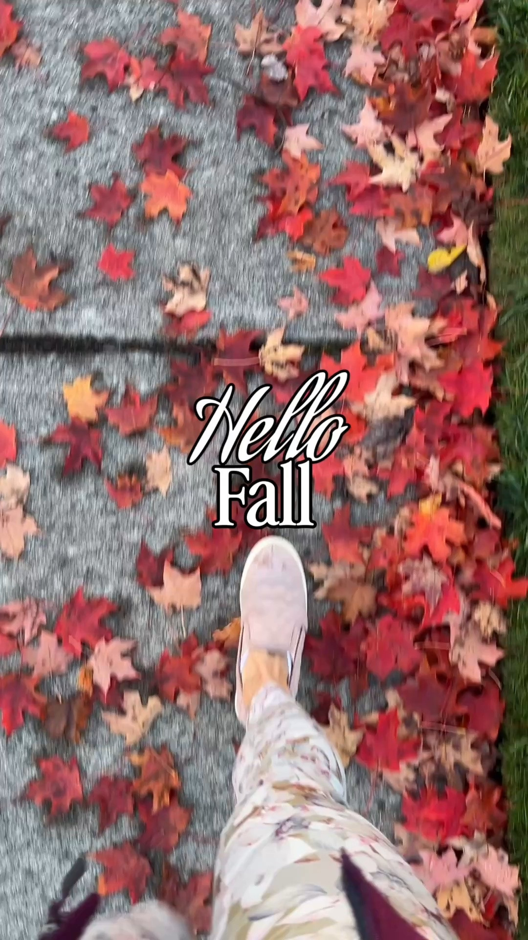 Hello, fall. 🍂👻✨🍁🎃
We’ve been waiting for you. 

home decor, fall decor, autumn home decor, Amazon fall decor, cozy fall decor, farmhouse fall decor, neutral fall decor, modern fall decor, rustic fall decor, fall decorations for home, fall kitchen decor, fall living room decor, fall entryway decor, fall table decor, fall mantle decor, fall porch decor, pumpkin decor, faux pumpkins, fall candles, fall wreath, autumn wreath, fall throw pillows, cozy home decor, harvest decor, Thanksgiving decor, seasonal home decor, fall decorating ideas, cozy autumn home, Amazon home finds, Amazon home decor, affordable fall decor

Halloween decor
Halloween decorations
Halloween home decor
Amazon Halloween finds
Amazon Halloween decor
Amazon Halloween
Halloween Amazon finds
Halloween decorations Amazon
Halloween party supplies
Halloween decorating ideas
Halloween house decor
Halloween porch decor
Halloween outdoor decorations
Halloween indoor decorations
Halloween kitchen decor
Halloween table decor
Halloween party ideas
Halloween entertaining
Halloween must haves
Halloween essentials
Halloween home finds
Amazon home finds
Amazon must haves
Amazon home decor
Amazon finds 2026
Amazon favorites
Amazon shopping finds
Halloween shopping
Halloween ideas for moms
easy Halloween decorating

#LTKdayinmylife #LTKSeasonal #LTKootd