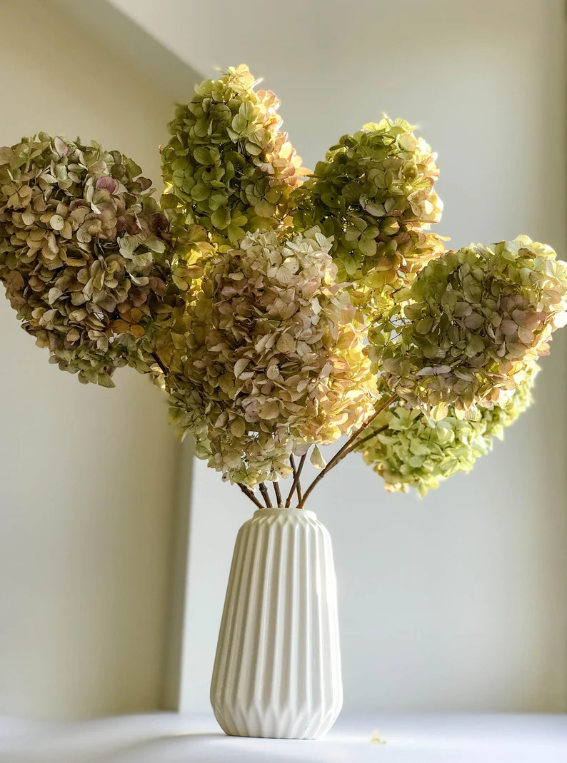 Dried Hydrangeas 7 Stems, Green Purple Cream Color Hydrangeas, Dried Hydrangeas Bunch - Etsy | Etsy (US)