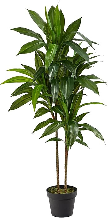 Nearly Natural 48in Artificial Dracaena with Real Touch Leaves and Multi Tonal Trunks, Large Indo... | Amazon (US)